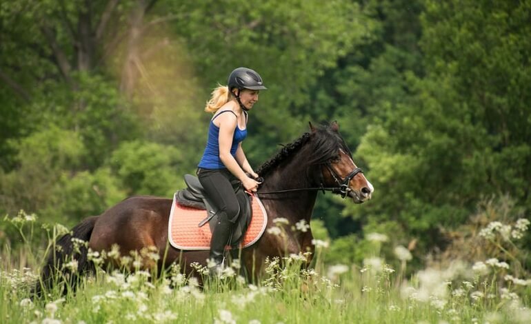 The Benefits of Trail Riding for Any Discipline