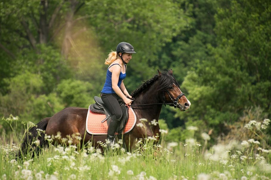 The Benefits of Trail Riding for Any Discipline